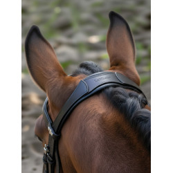 Bridão de dressage Arika LeMieux