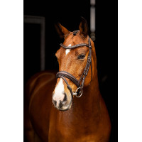 Bridão de dressage Arika LeMieux Castanho / prateado