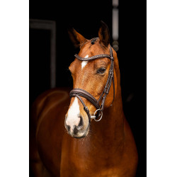 Bridão de dressage Arika LeMieux Castanho / prateado Bridão de dressage Arika LeMieux Castanho / prateado