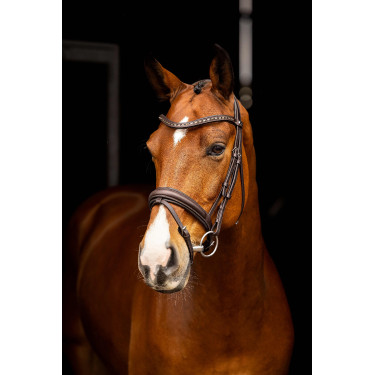 Bridão de dressage Arika LeMieux Castanho / prateado Bridão de dressage Arika LeMieux Castanho / prateado