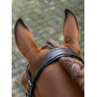 Bridão de dressage Arika LeMieux Preto / prata