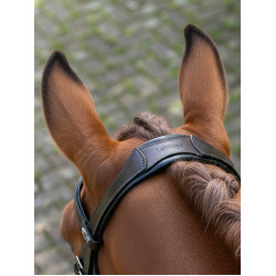 Bridão de dressage Arika LeMieux Castanho / prateado Bridão de dressage Arika LeMieux Castanho / prateado