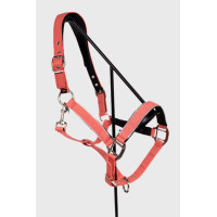 Cabrresto Harcour Bamara Marinho Azul-marinho Cabrresto Harcour Bamara Marinho Azul-marinho