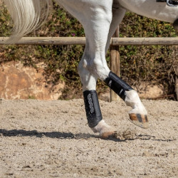 Guêtres LeMieux Carbon Air XC Preto Guêtres LeMieux Carbon Air XC Preto