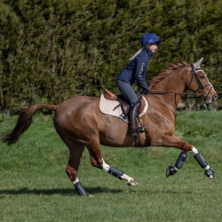 Guêtres LeMieux Carbon Air XC Preto Guêtres LeMieux Carbon Air XC Preto