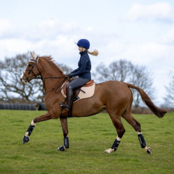 Guêtres LeMieux Carbon Air XC Preto Guêtres LeMieux Carbon Air XC Preto