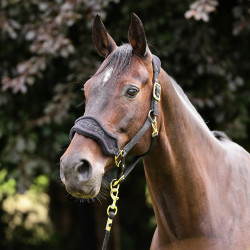 Cabeçada e guia polar equitação Shires ARMA | EQUI-CLIC Cabeçada e guia polar equitação Shires ARMA | EQUI-CLIC