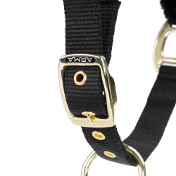 Caveção e corda Shires ARMA para equitação Caveção e corda Shires ARMA para equitação