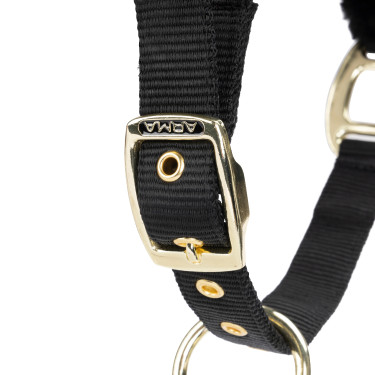 Caveção e corda Shires ARMA para equitação Caveção e corda Shires ARMA para equitação