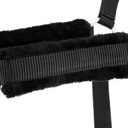 Caveção e corda Shires ARMA para equitação Caveção e corda Shires ARMA para equitação