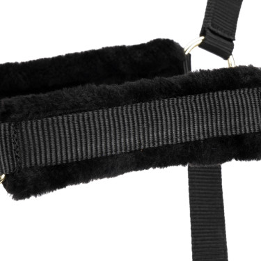 Caveção e corda Shires ARMA para equitação Caveção e corda Shires ARMA para equitação