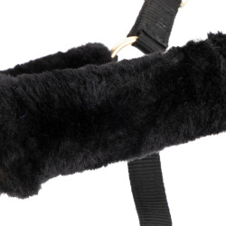 Cabresto e guia de equitação Shires ARMA | Conforto