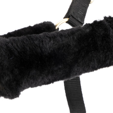 Cabresto e guia de equitação Shires ARMA | Conforto