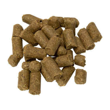 Guloseimas de menta para cavalos Shires | Equestrian