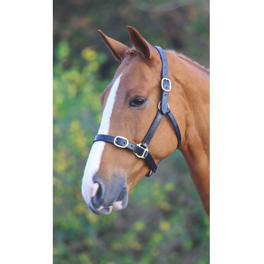 Caveção de couro ajustável para cavalo | Equitação Shires