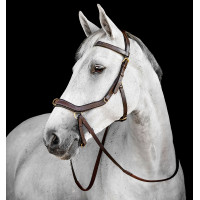 Bridão Horseware Micklem® Multi