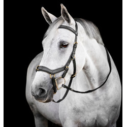 Bridão Horseware Micklem® Multi