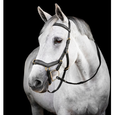 Bridão Horseware Micklem® Multi