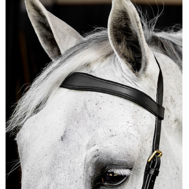 Bridão Horseware Micklem® Multi