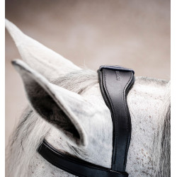 Bridão Horseware Micklem® Multi