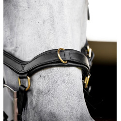 Bridão Horseware Micklem® Multi