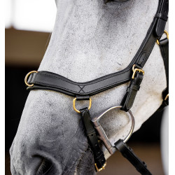 Bridão Horseware Micklem® Multi