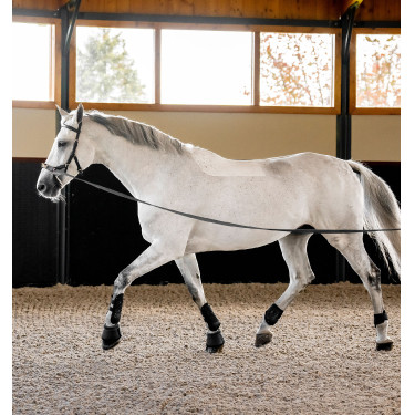 Bridão Horseware Micklem® Multi
