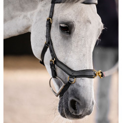 Bridão Horseware Micklem® Multi