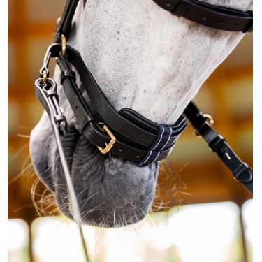 Bridão Horseware Micklem® Multi