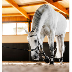 Bridão Horseware Micklem® Multi
