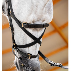 Bridão Horseware Micklem® Multi