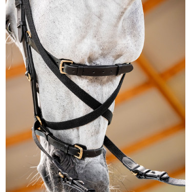 Bridão Horseware Micklem® Multi