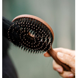 Escova para crina e cauda Horseware