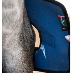 Guarnições para jarretes Horseware Ionic Therapy