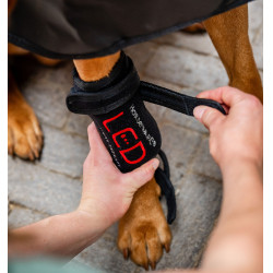 Faixas de terapia com luz vermelha LED para patas de animais de estimação Horseware Par