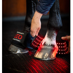 Mini ligaduras de terapia por luz vermelha LED Horseware Conjunto de 4