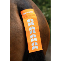Rabicho Shires Equi-Flector® Laranja vivo