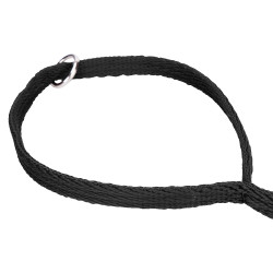 Trela acolchoada para cão Shires Digby & Fox | Equitação