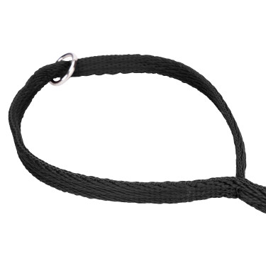 Trela acolchoada para cão Shires Digby & Fox | Equitação