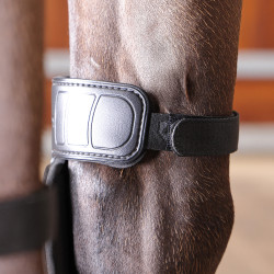 Joelheiras equinas térmicas Shires Arma Nx-Max | Equitação Joelheiras equinas térmicas Shires Arma Nx-Max | Equitação