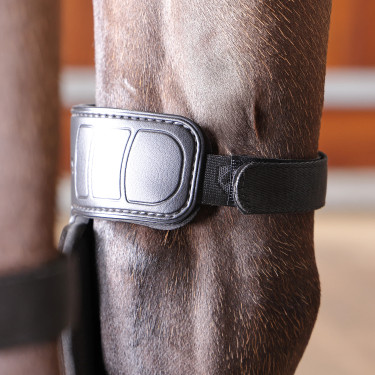 Joelheiras equinas térmicas Shires Arma Nx-Max | Equitação Joelheiras equinas térmicas Shires Arma Nx-Max | Equitação
