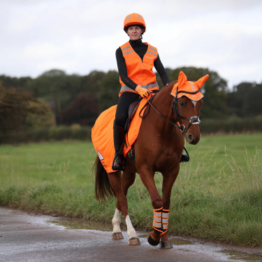 Capa traseira em malha Shires Equi-Flector® Laranja vivo