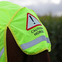 Capa traseira refletora equitação Shires Equi-Flector