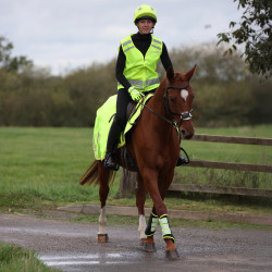 Toque Shires Equi-Flector® Amarelo vivo Toque Shires Equi-Flector® Amarelo vivo