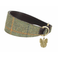 Coleira de tweed para galgo Shires Digby & Fox Xadrez vermelho/amarelo/azul Motivos