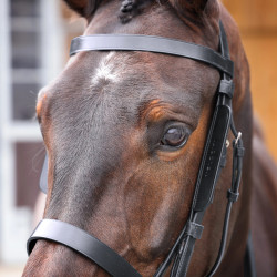 Aventais de couro para cavalo Shires Velociti Gara Aventais de couro para cavalo Shires Velociti Gara