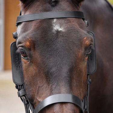 Aventais de couro para cavalo Shires Velociti Gara Aventais de couro para cavalo Shires Velociti Gara