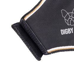 Capa impermeável para cão – Shires Digby & Fox | Equitação Capa impermeável para cão – Shires Digby & Fox | Equitação