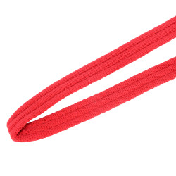 Longe de apresentação acolchoada Shires Vermelho