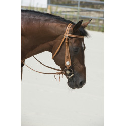 Bridon Westride por Franck Perret Aurora Bridon Westride por Franck Perret Aurora